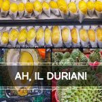 Ah, il durian!